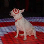 Target rents LED dance floor for event